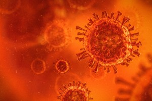 3D illustration of virus / coronavirus / bacteria close-up