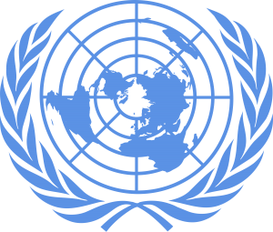 Organização das Nações Unidas: ONU tenta acordo para futuras epidemias